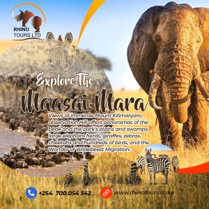 MAASAI-MARA